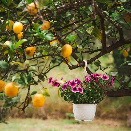 Mel Apartmán Melíkia