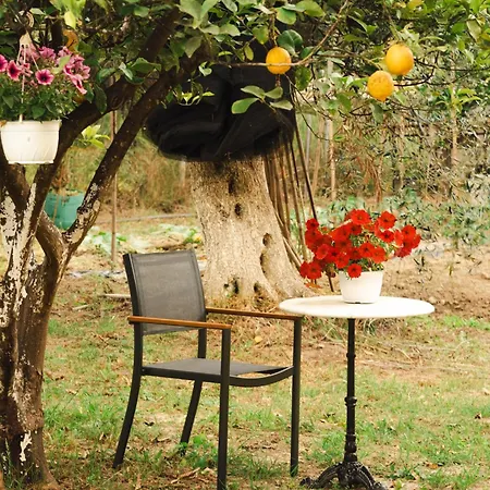 Mel Apartamento Melíkia